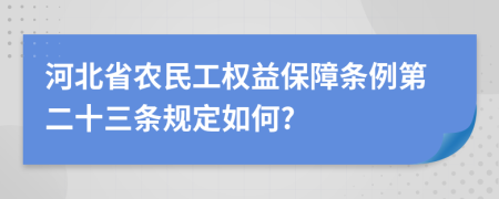 河北省农民工权益保障条例第二十三条规定如何?