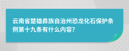 云南省楚雄彝族自治州恐龙化石保护条例第十九条有什么内容?