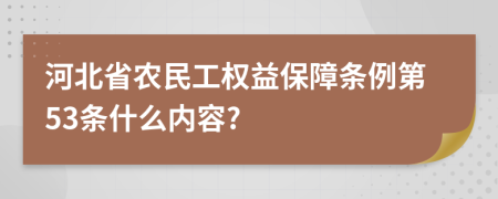 河北省农民工权益保障条例第53条什么内容?