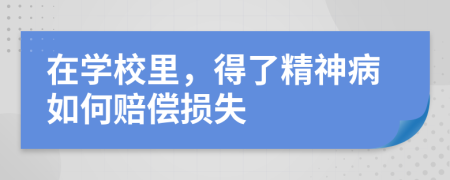 在学校里，得了精神病如何赔偿损失