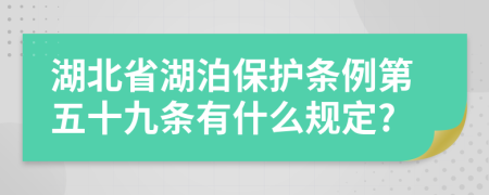 湖北省湖泊保护条例第五十九条有什么规定?