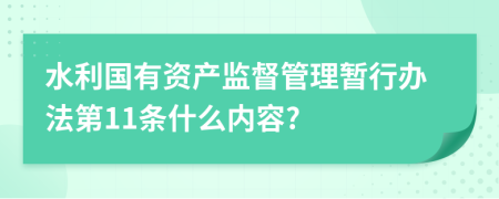 水利国有资产监督管理暂行办法第11条什么内容?