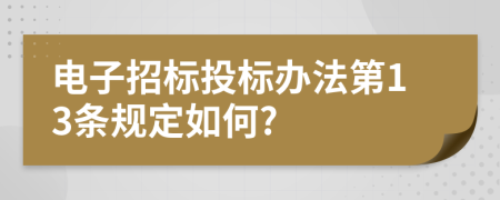 电子招标投标办法第13条规定如何?