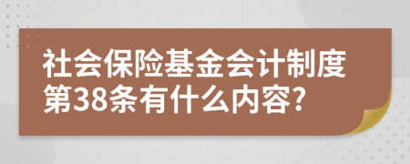 社会保险基金会计制度第38条有什么内容?