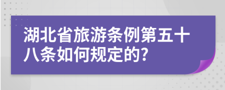 湖北省旅游条例第五十八条如何规定的?