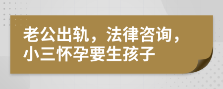 老公出轨，法律咨询，小三怀孕要生孩子