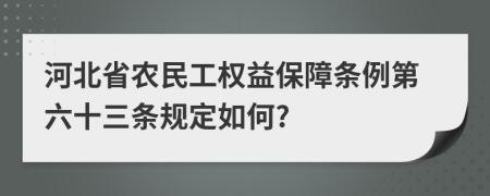 河北省农民工权益保障条例第六十三条规定如何?