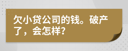 欠小贷公司的钱。破产了，会怎样？