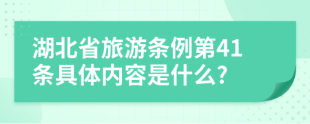 湖北省旅游条例第41条具体内容是什么?