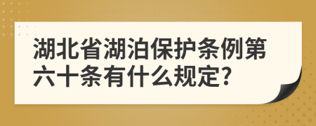 湖北省湖泊保护条例第六十条有什么规定?