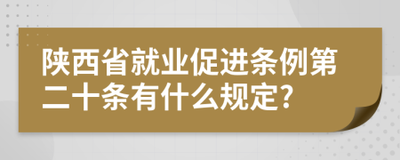 陕西省就业促进条例第二十条有什么规定?