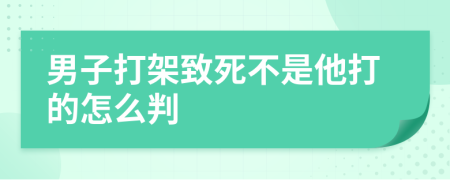 男子打架致死不是他打的怎么判