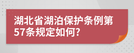 湖北省湖泊保护条例第57条规定如何?