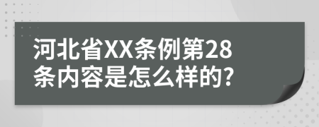 河北省XX条例第28条内容是怎么样的?