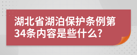 湖北省湖泊保护条例第34条内容是些什么?