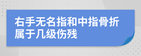 右手无名指和中指骨折属于几级伤残