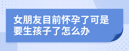 女朋友目前怀孕了可是要生孩子了怎么办