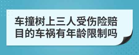 车撞树上三人受伤险赔目的车祸有年龄限制吗