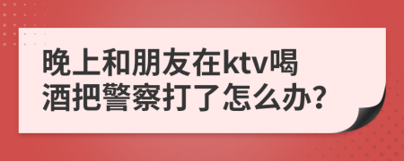 晚上和朋友在ktv喝酒把警察打了怎么办？