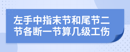 左手中指末节和尾节二节各断一节算几级工伤