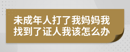未成年人打了我妈妈我找到了证人我该怎么办