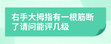 右手大拇指有一根筋断了请问能评几级