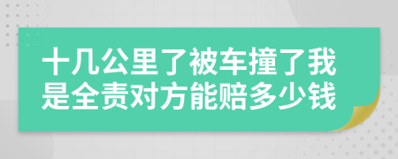 十几公里了被车撞了我是全责对方能赔多少钱