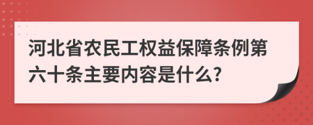 河北省农民工权益保障条例第六十条主要内容是什么?