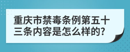 重庆市禁毒条例第五十三条内容是怎么样的?