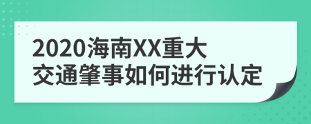 2020海南XX重大交通肇事如何进行认定