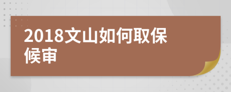 2018文山如何取保候审