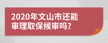 2020年文山市还能审理取保候审吗？