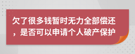 欠了很多钱暂时无力全部偿还，是否可以申请个人破产保护