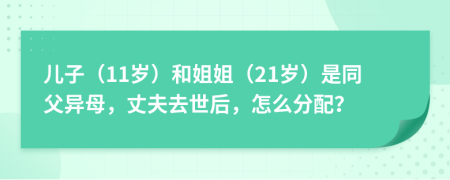 儿子（11岁）和姐姐（21岁）是同父异母，丈夫去世后，怎么分配？