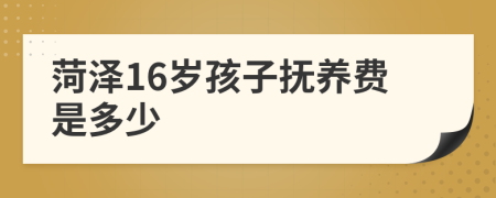 菏泽16岁孩子抚养费是多少