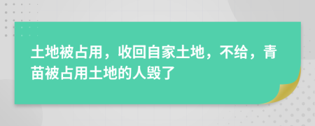 土地被占用，收回自家土地，不给，青苗被占用土地的人毁了