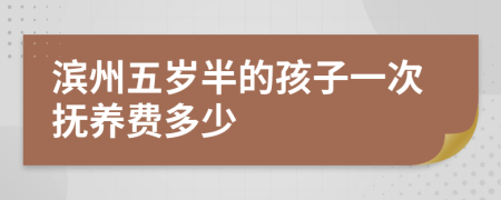 滨州五岁半的孩子一次抚养费多少