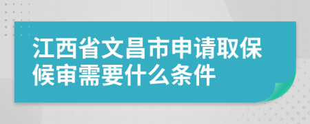江西省文昌市申请取保候审需要什么条件