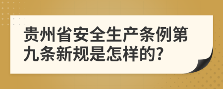 贵州省安全生产条例第九条新规是怎样的?