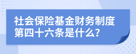 社会保险基金财务制度第四十六条是什么？