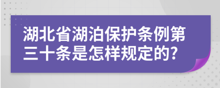 湖北省湖泊保护条例第三十条是怎样规定的?