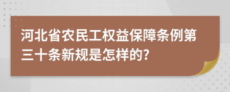 河北省农民工权益保障条例第三十条新规是怎样的?