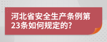 河北省安全生产条例第23条如何规定的?