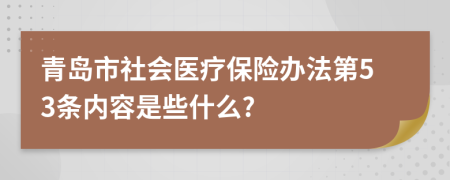 青岛市社会医疗保险办法第53条内容是些什么?