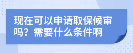 现在可以申请取保候审吗？需要什么条件啊