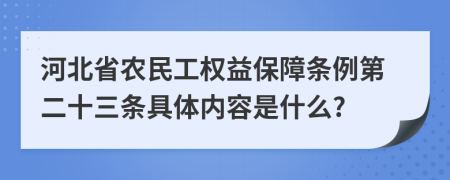 河北省农民工权益保障条例第二十三条具体内容是什么?