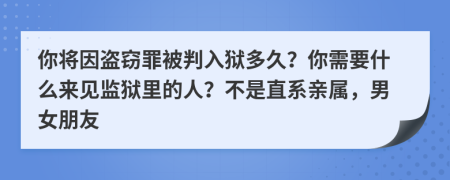 你将因盗窃罪被判入狱多久？你需要什么来见监狱里的人？不是直系亲属，男女朋友