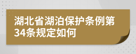 湖北省湖泊保护条例第34条规定如何