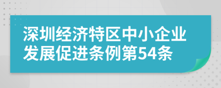 深圳经济特区中小企业发展促进条例第54条