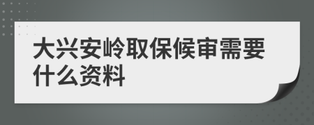 大兴安岭取保候审需要什么资料